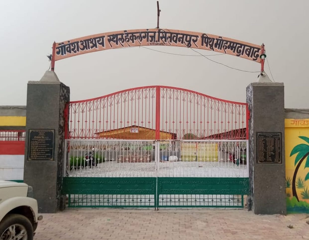 goshala,ghapla,gaban,farrukhabad news