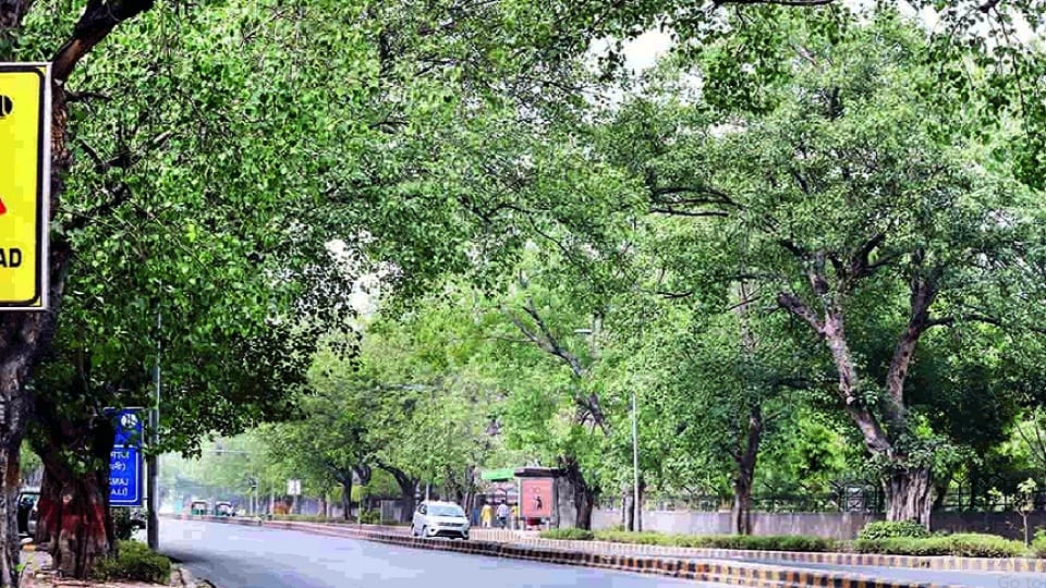 meteorological department predicted partly cloudy sky dust storm and light drizzle in delhi on wednesday