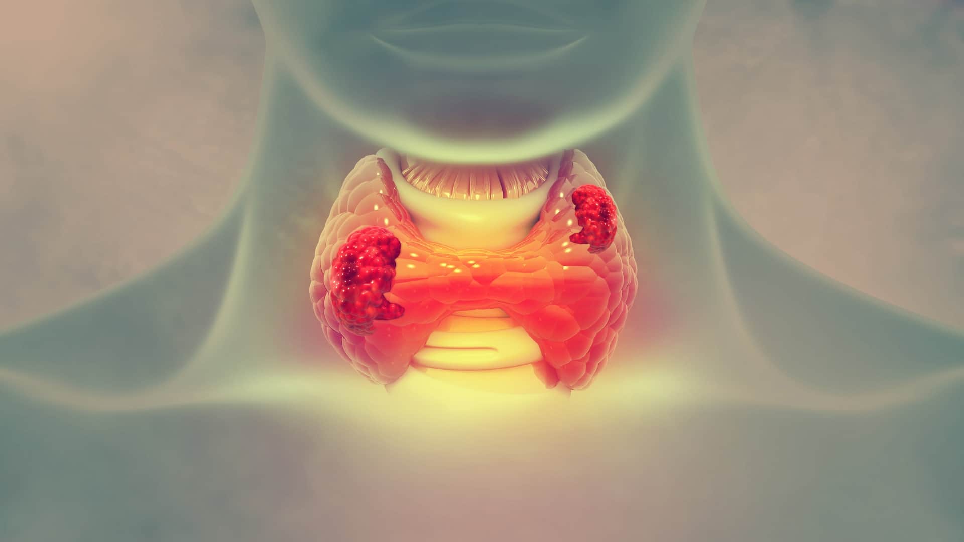 World Thyroid Day Know When and and Why It Is Celebrated History of Thyroid