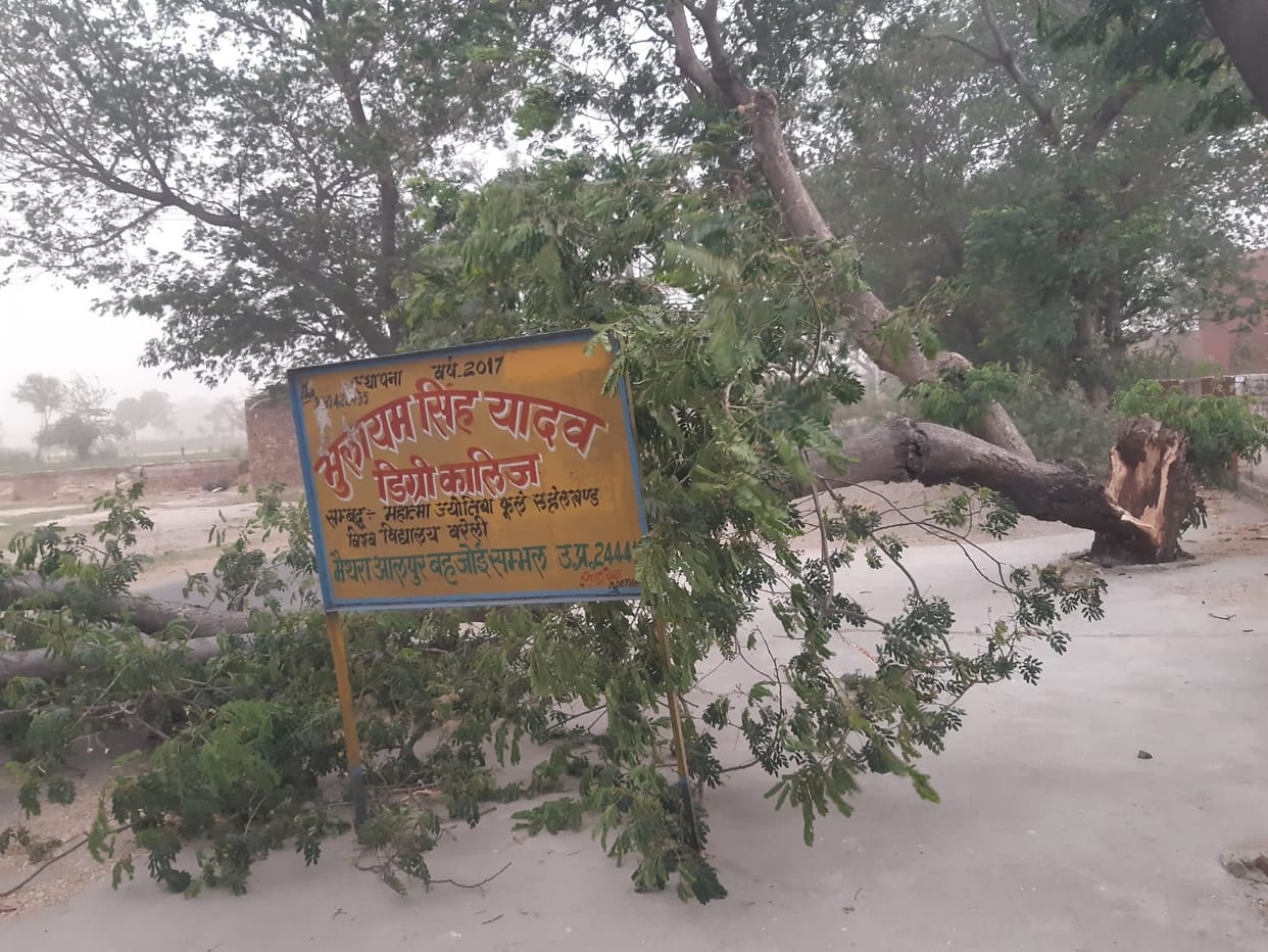Trees and electric poles fell due to storm, supply affected in 70 villages