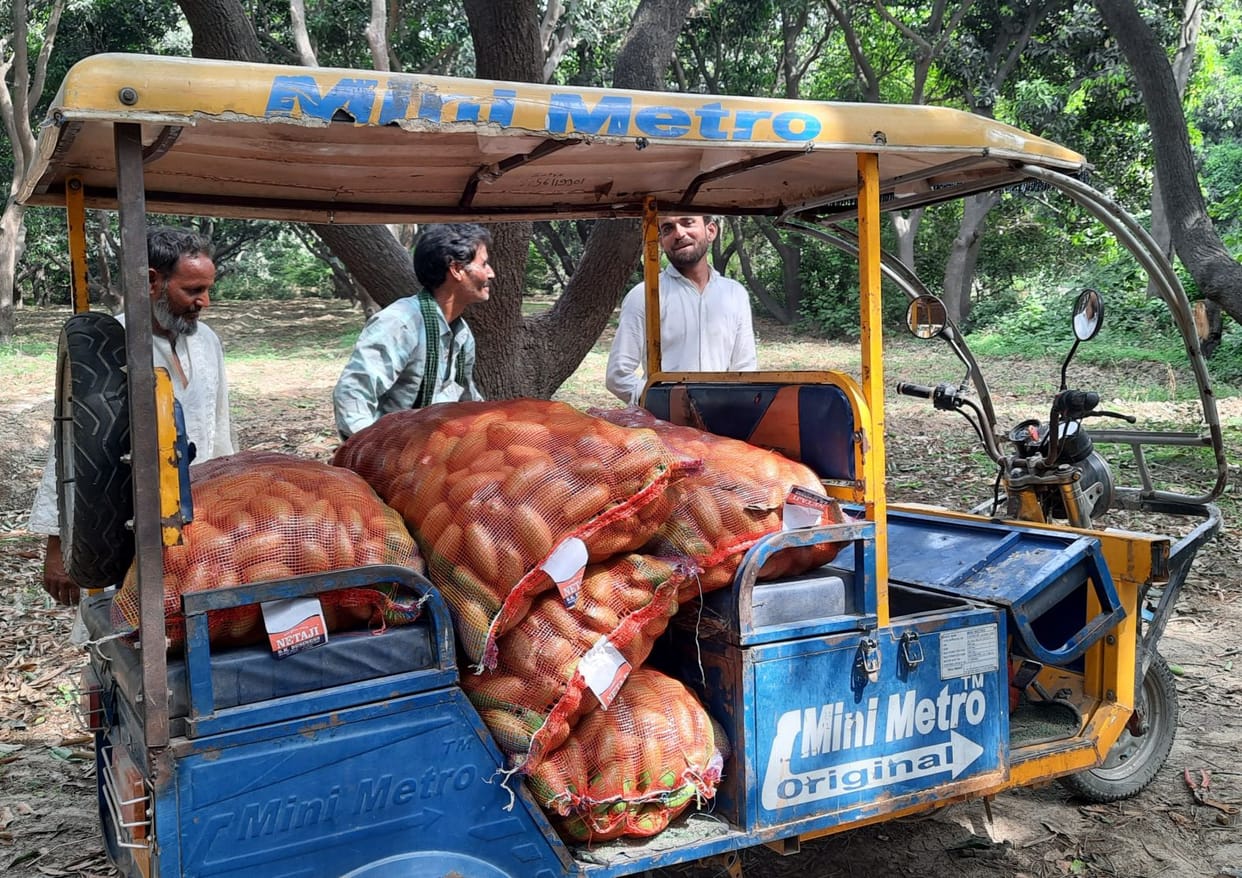 farrukhabad news,aandhi,aam ki fasal