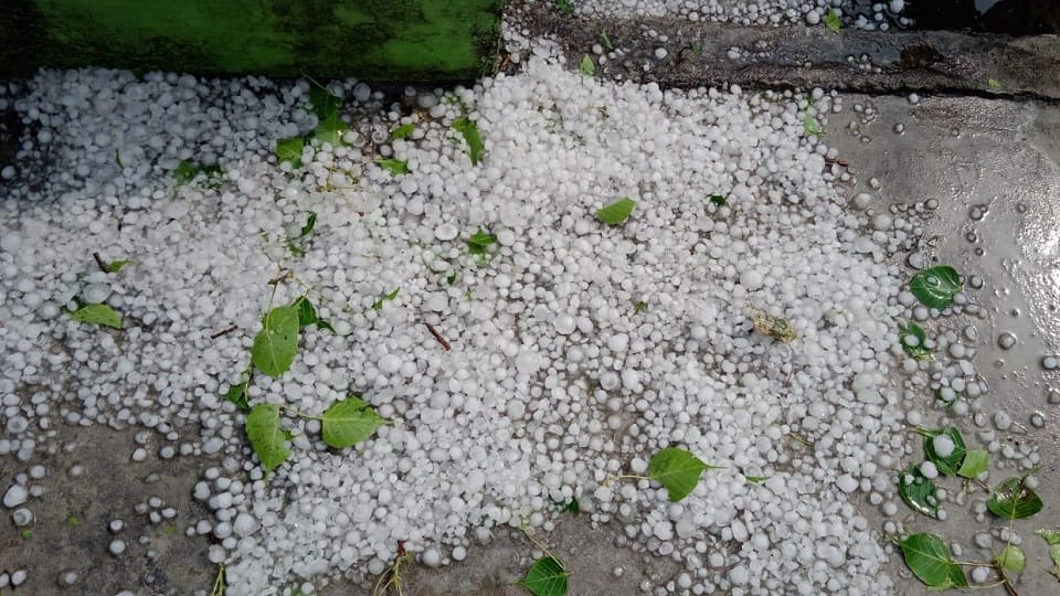 procession ran away Leaving groom as soon as hailstorm happened in mathura