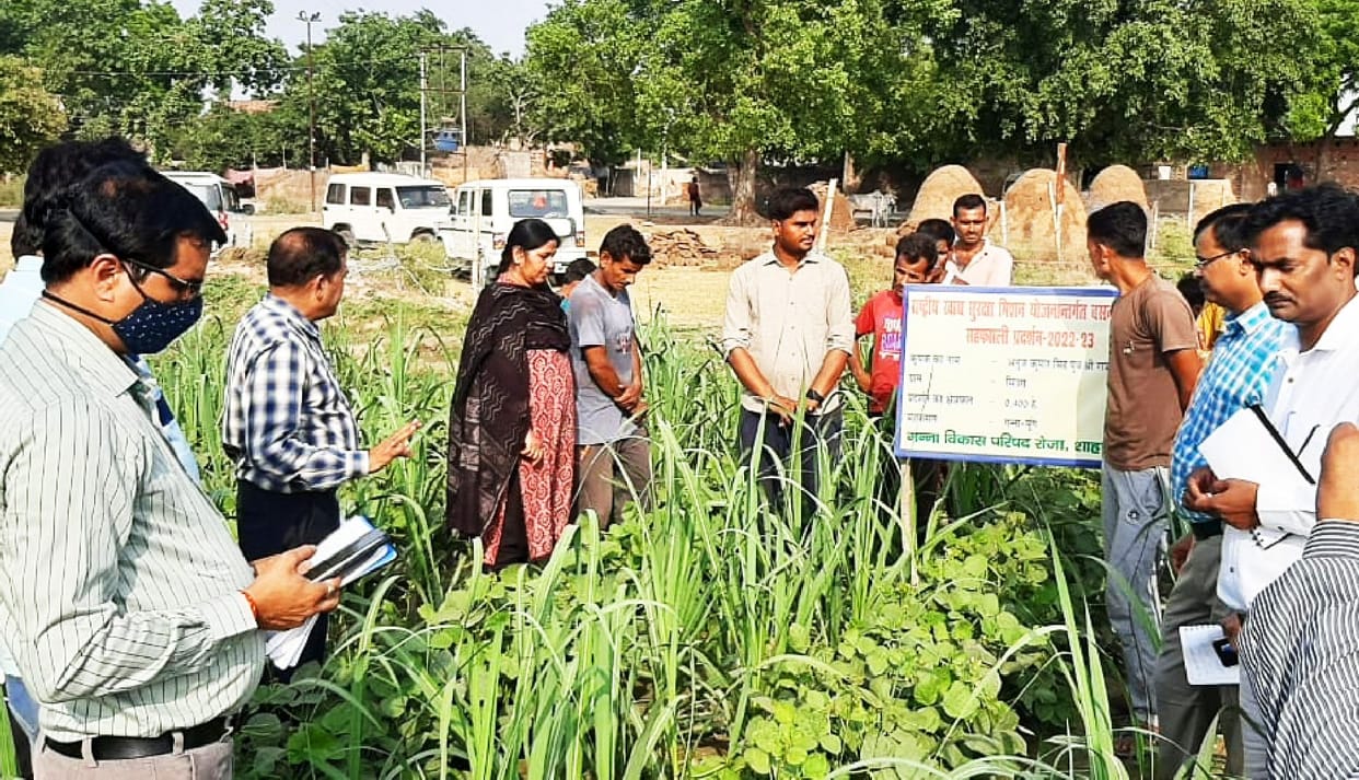 Encouraged for production of pulses and oilseeds