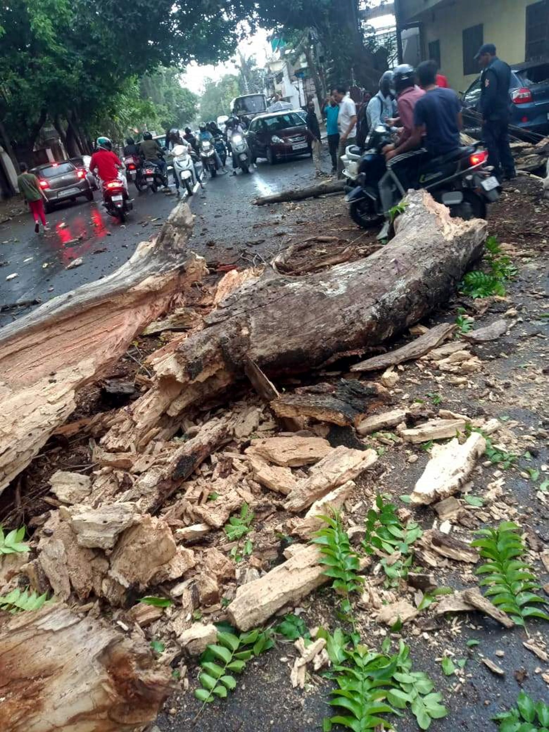 Weather update, relief from rain, traffic disrupted due to storm, power cut, today weather update, See photos