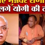 यूपी न्यूज