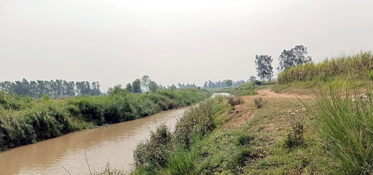 Amar Ujala Campaign: Capture of Malan in Bijnor Tehsil more than Najibabad