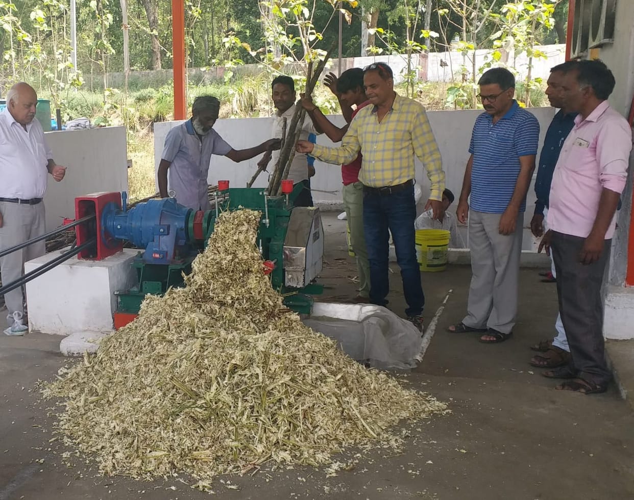 Krishi Kendra scientists tested jaggery in modern crusher