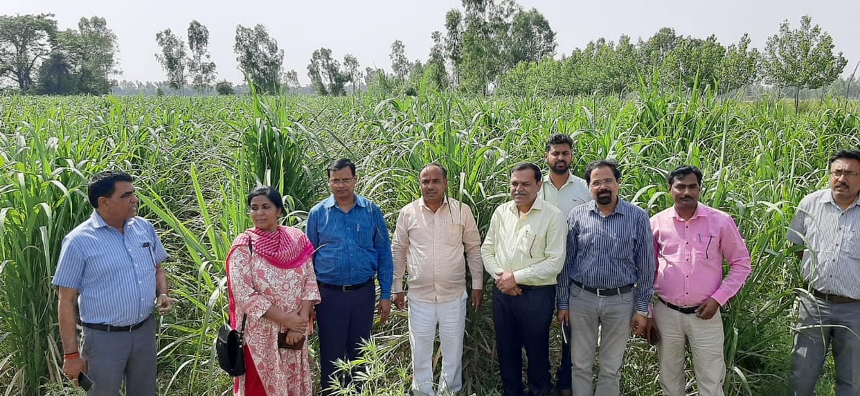 The team from Lucknow appreciated the innovative use of co-cropping in Ganganagar