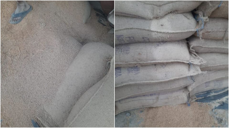 400 wheat bags seized in Hazaribag, two held