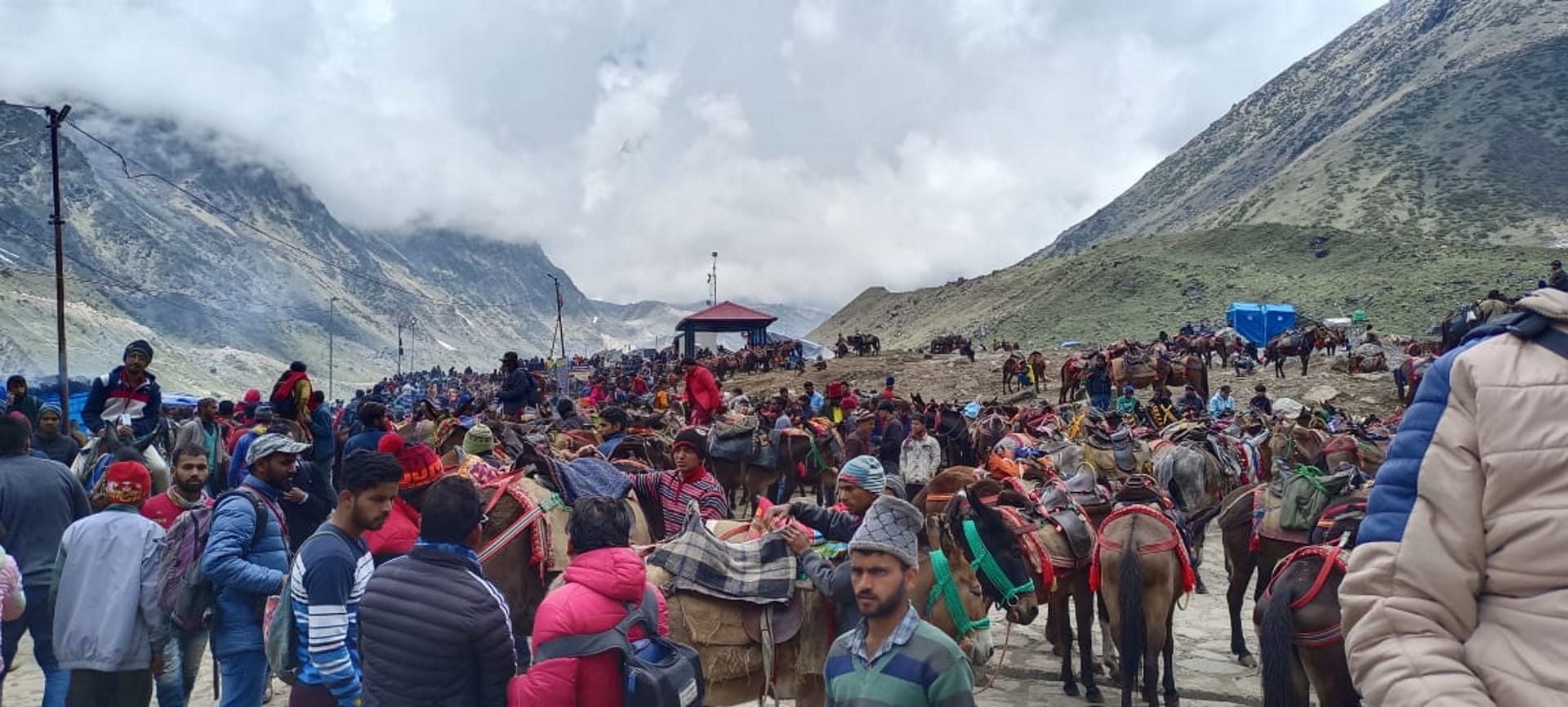 Kedarnath Dham chardham Yatra 2023 16 horse-mules died in 15 days on Kedarnath route Uttarakhand news in hindi
