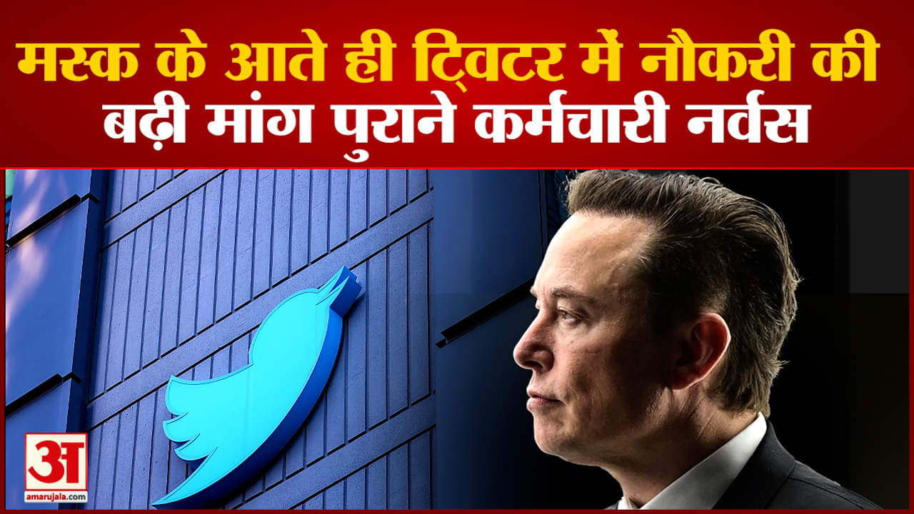 एलन मस्क