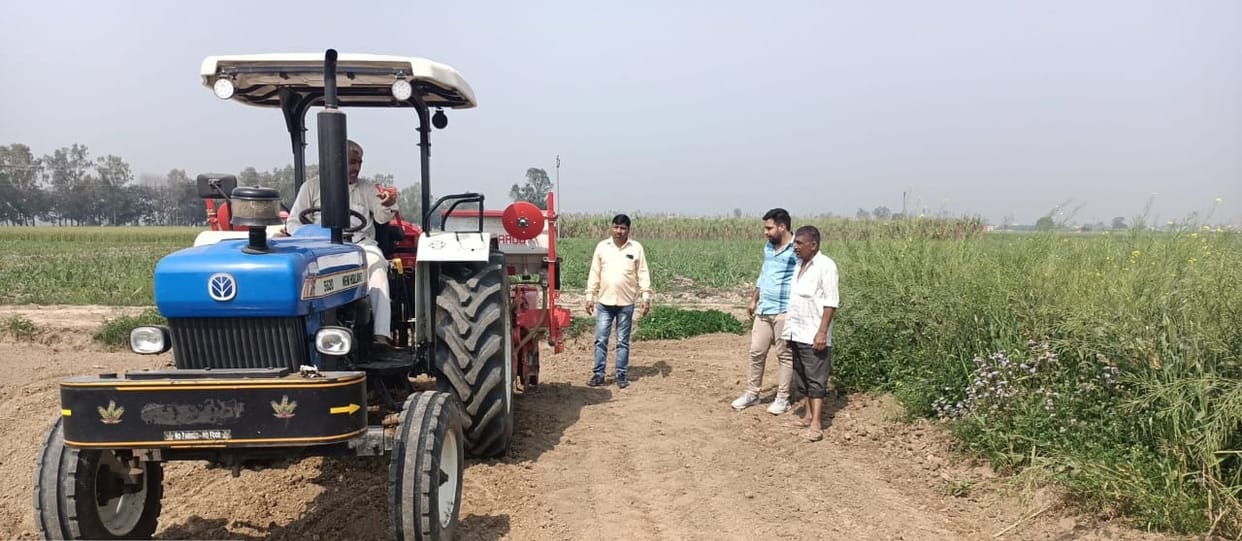 Fear of pink bollworm, farmers withdrawing from cotton sowing