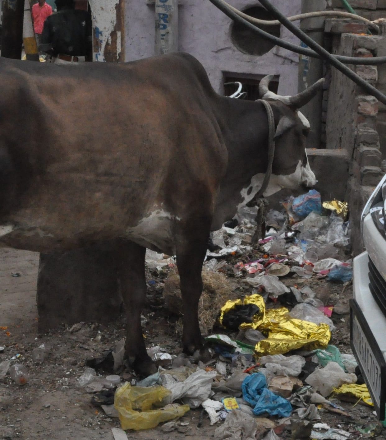Hathras: Door-to-door garbage collection closed, heaps of garbage in the city