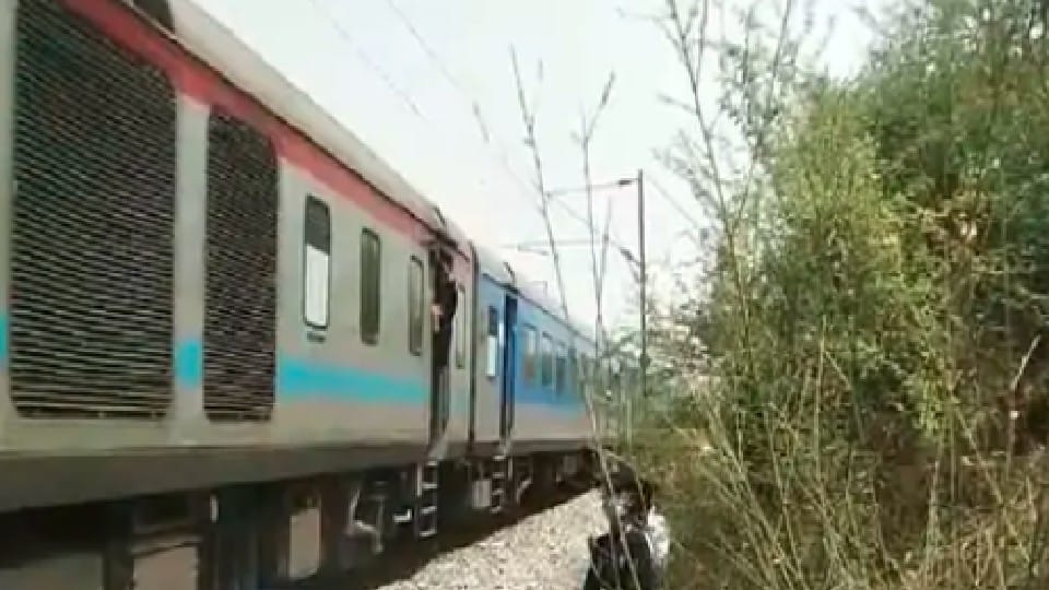 Madhya Pradesh: Camel hit by Shatabdi Express near Morena, body parts stuck in engine and train stood for two hours