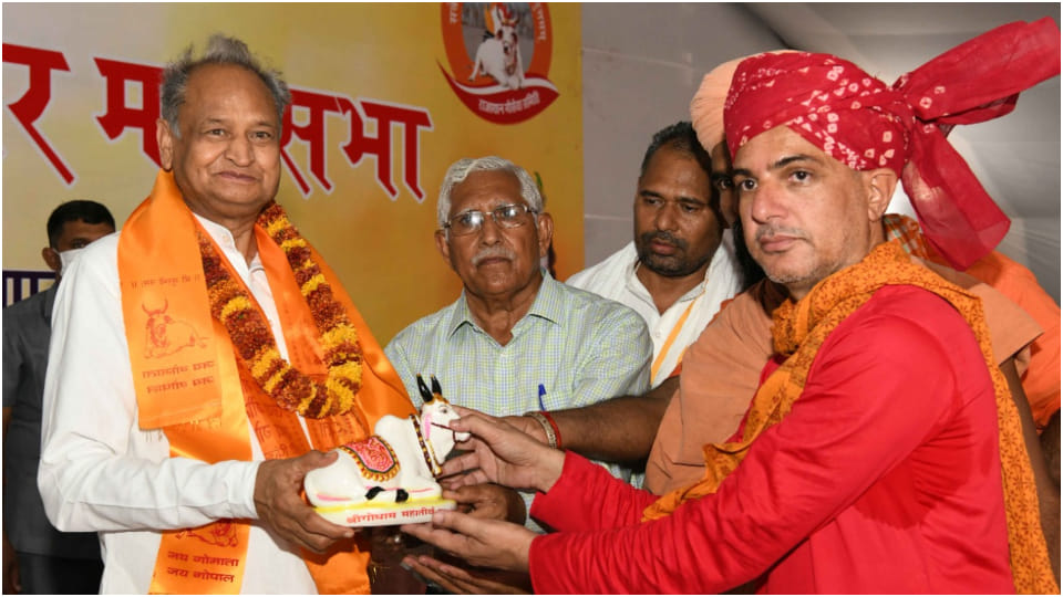 Gaushalas running in Rajasthan will get grant for nine months in year