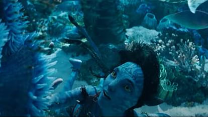 Avatar The Way of Water James Cameron revealed the secrets of shooting read all the secrets of Shoot in sea