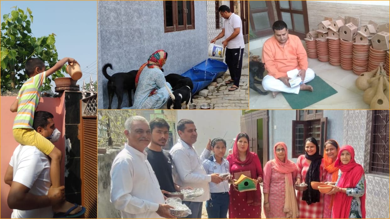 Mukesh engaged in saving the lives of birds and dogs with his wife in Sonipat of Haryana
