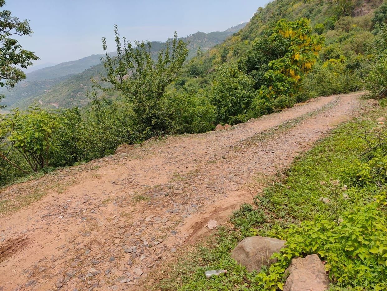 Demand for laying coal tar on the road