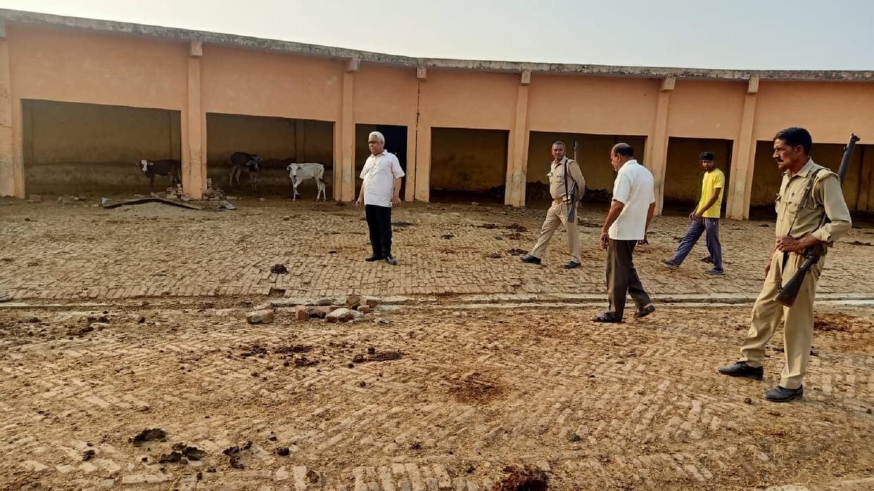 Two cows found dead in Gharampur Gaushala in Shahbad Rampur
