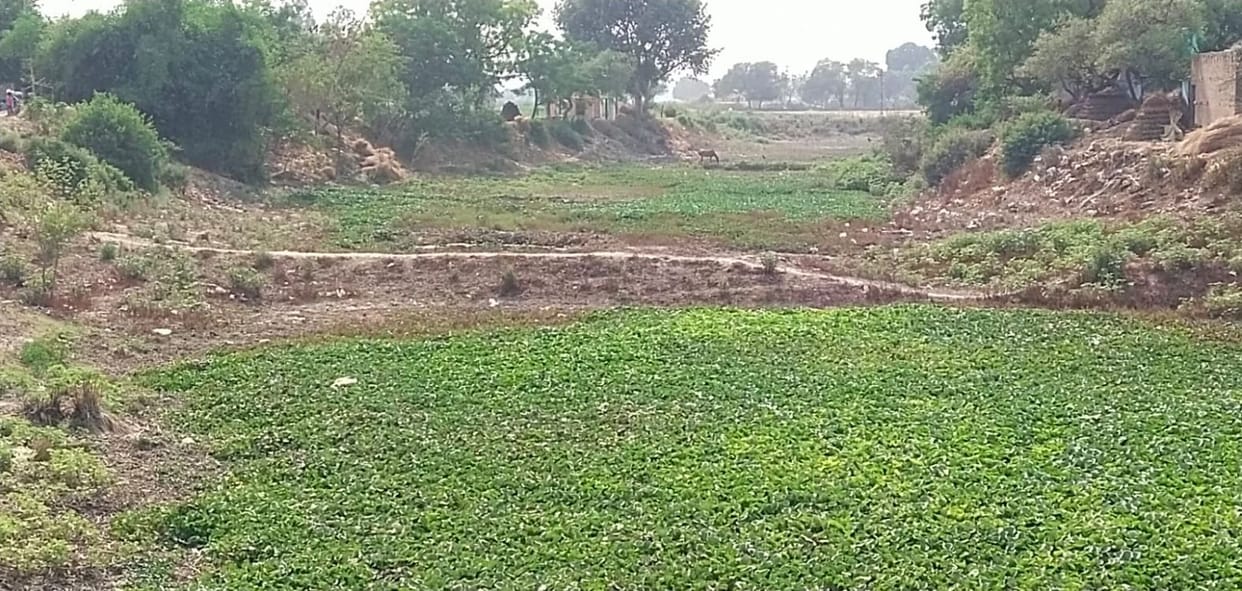 farrukhabad news,talab,amrat yojna