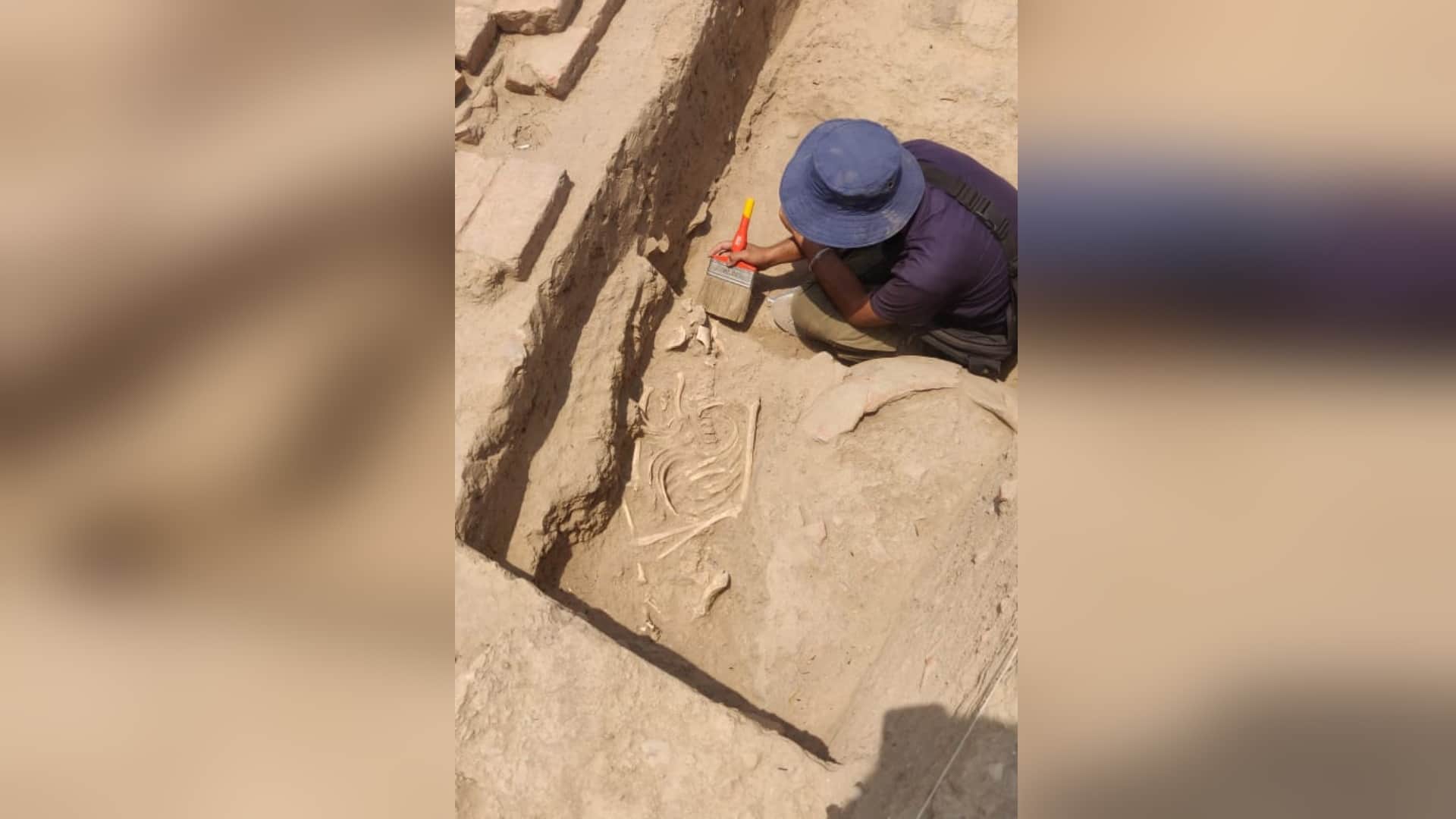 Haryana hisar rakhigarhi harappan civilization 50 skeletons found DNA will reveal truth many interesting facts discovered