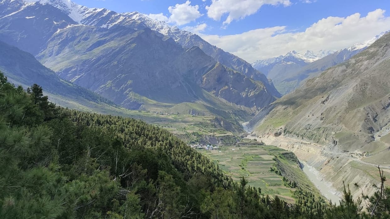 World Environment Day: If people are connected with the forest, then there is greenery, people get employment