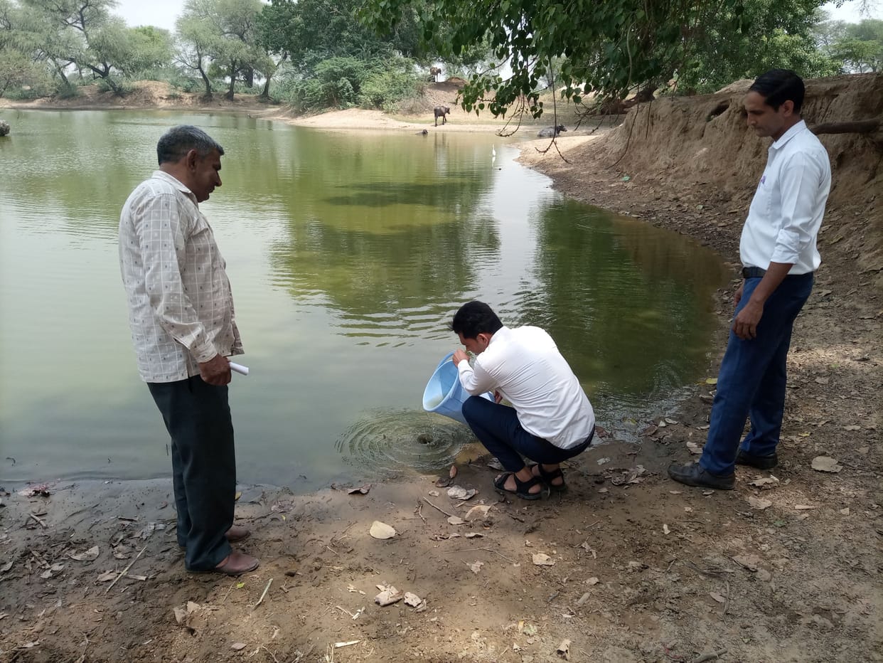 Health Department left Gambuzia fishes in ponds of eight villages