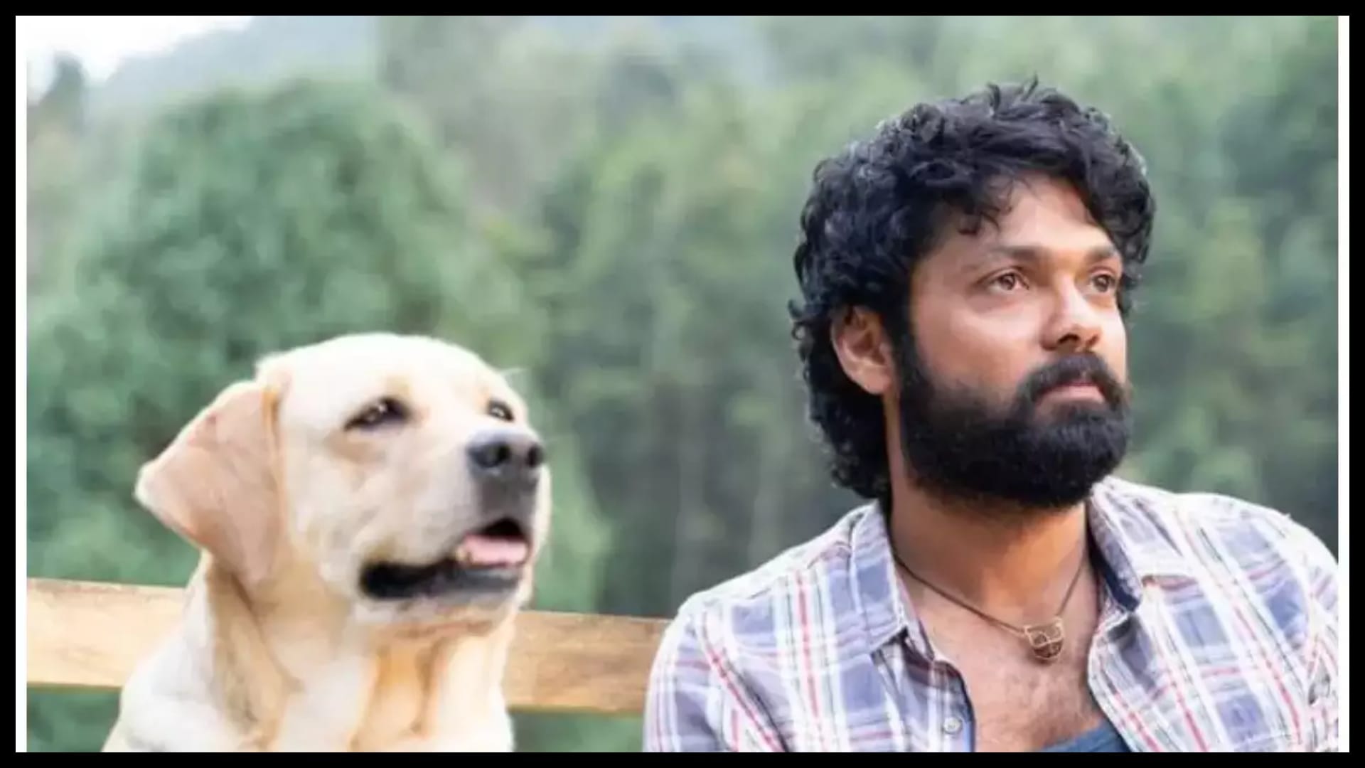 Rakshit Shetty starrer 777 charlie trailer to be release on 16 may in all languages including hindi