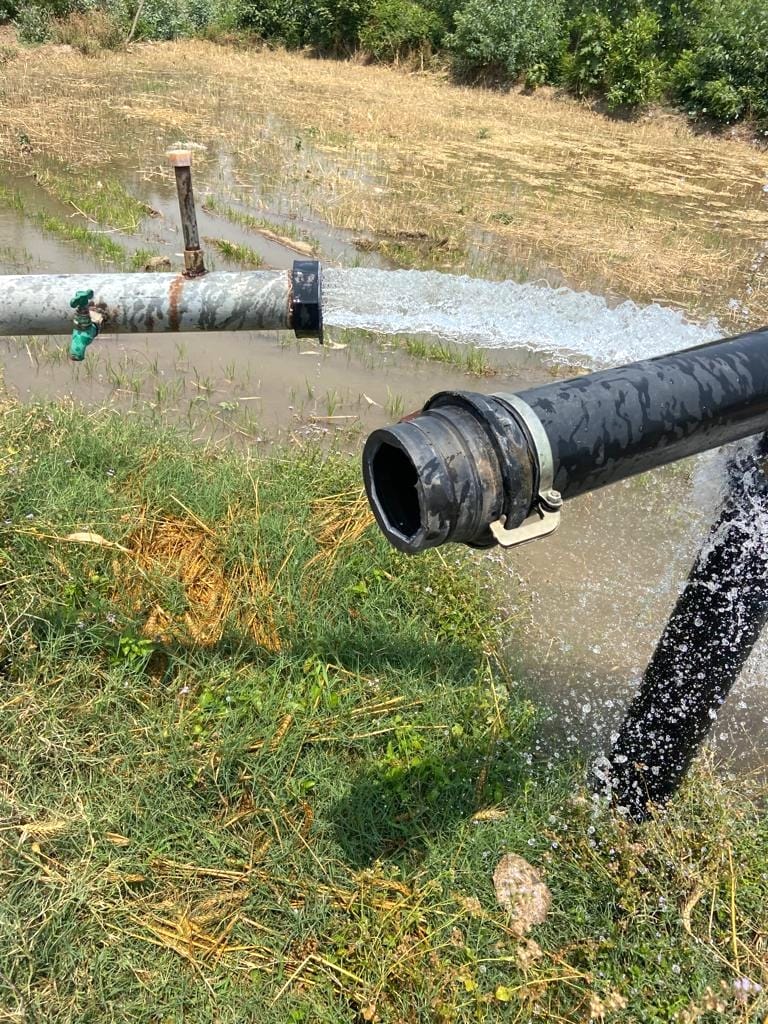 elephants destroyed papuler tree and tubewell pipe in ponta sahib