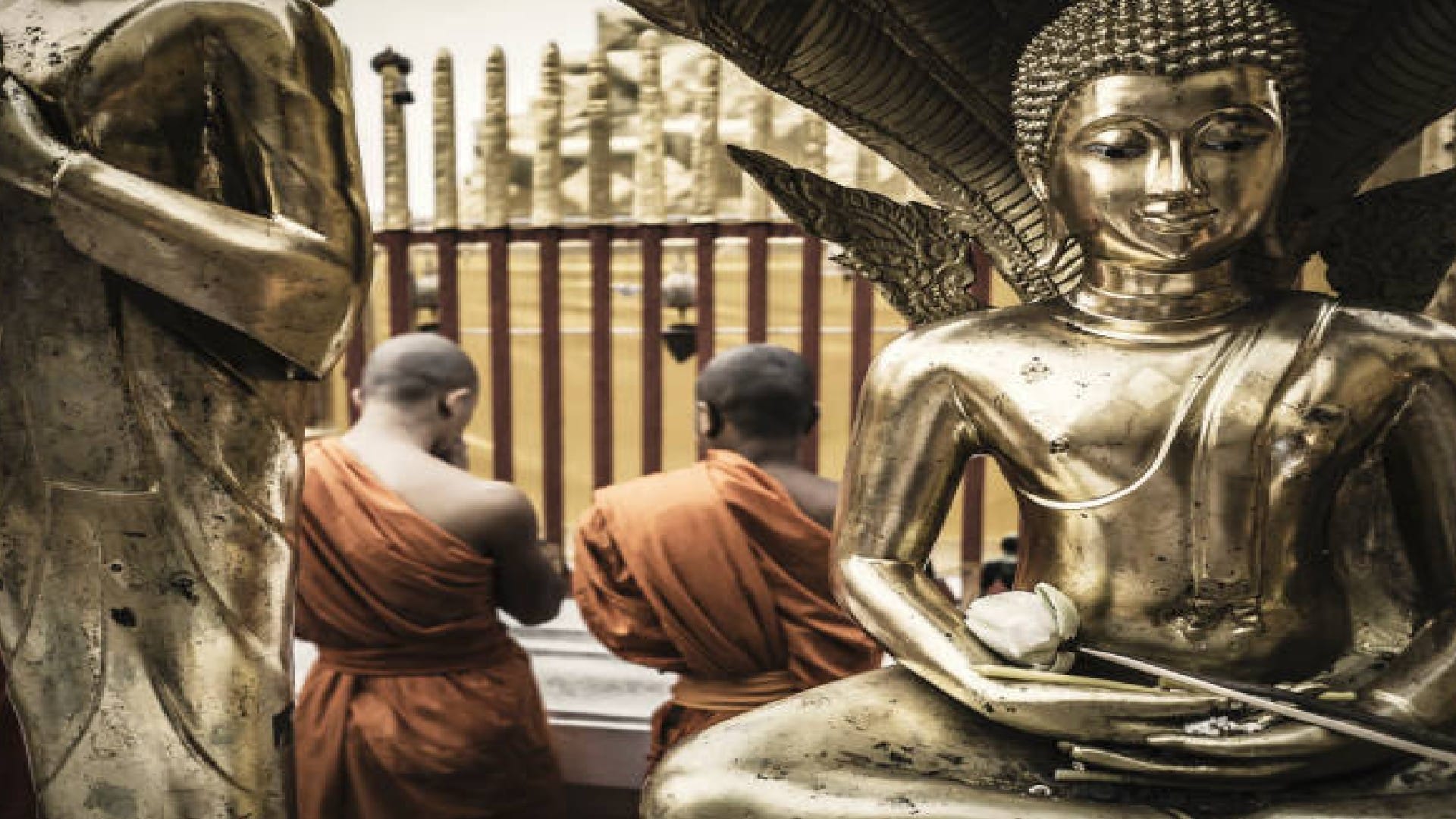 Buddha Purnima 2022 Date Know Auspicious Time and Religious Significance Puja Vidhi