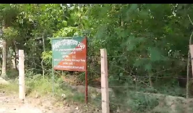 hardoi news,Japan's Miyawaki technology will make the district green