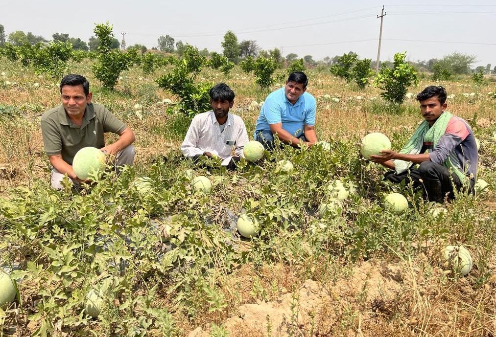 Surendra, a progressive farmer of Dhanana, grew colorful watermelons in the barren land