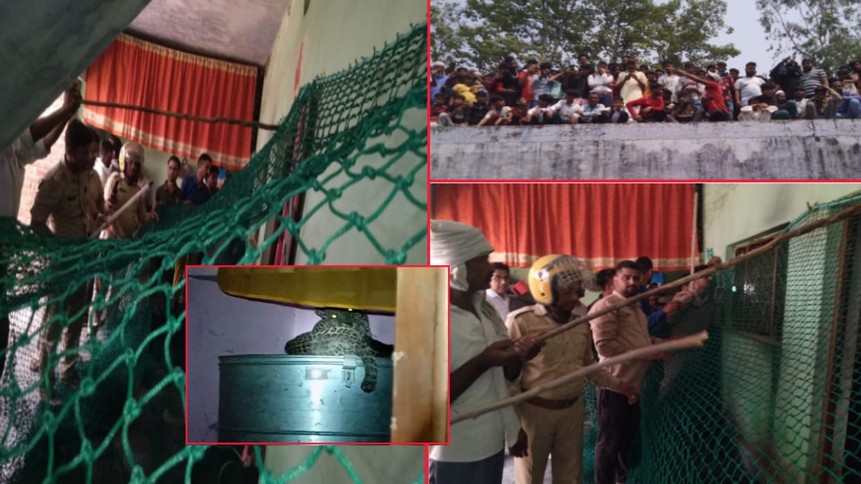 UP: Guldar entered the house in Bijnor, forest department team engaged in catching