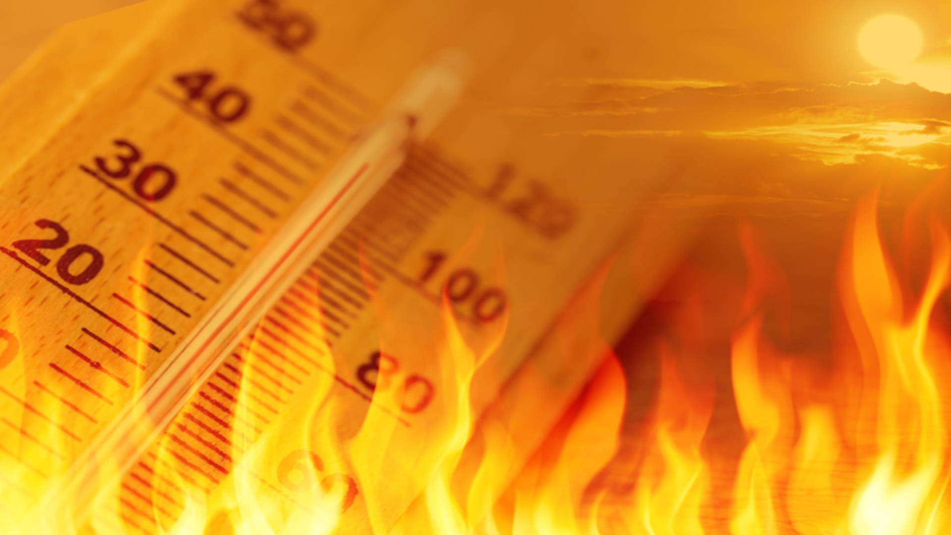 Summer Tips: How to Keep House Cool in Summer Without AC and Cooler Know the Process in Hindi