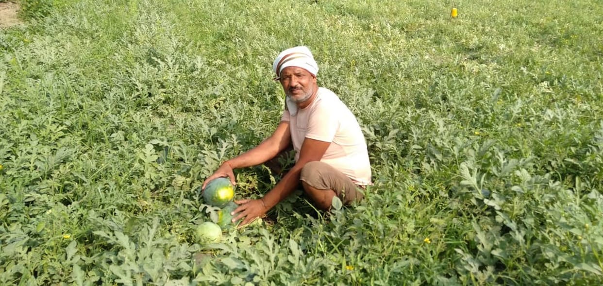 farming