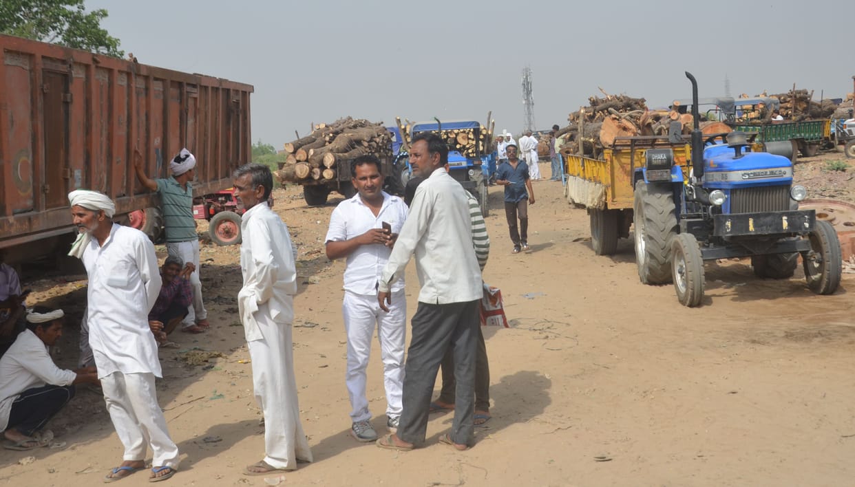 Chief Minister's flying squad caught 14 vehicles filled with wood, three absconded without filling GST on invoice of Forest Department