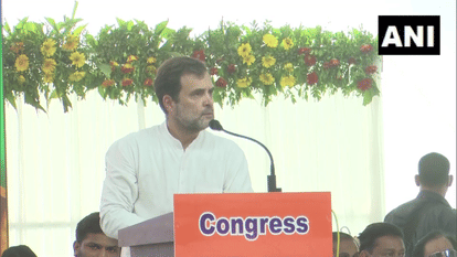 कांग्रेस नेता राहुल गांधी।