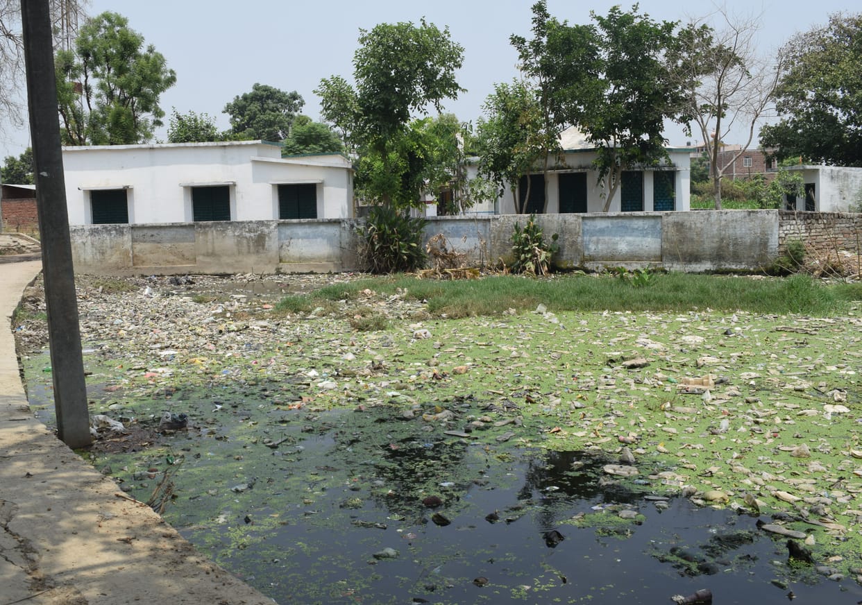 How to get rid of dengue with the help of mere awareness