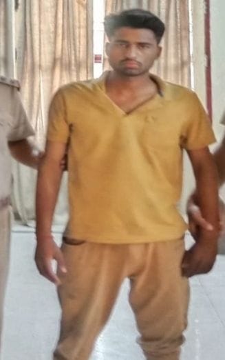 When the branch of peepal was cut, the young man shot six, the farmer narrowly escaped
