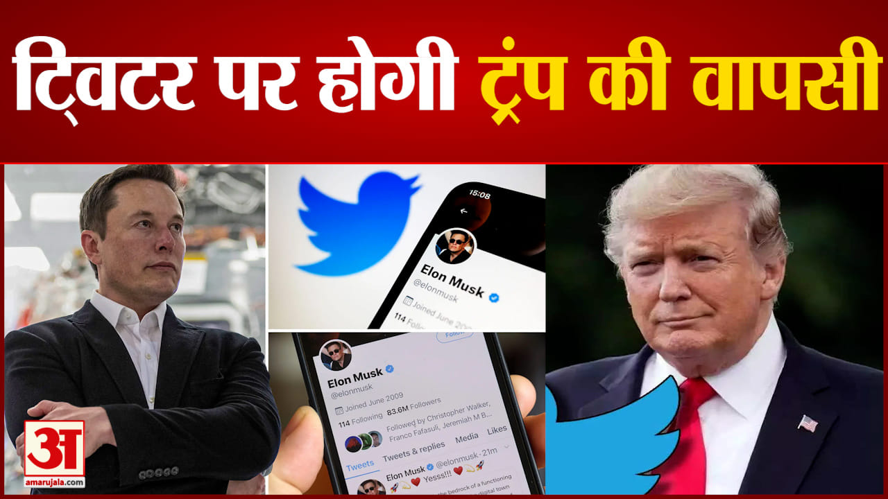 एलन मस्क