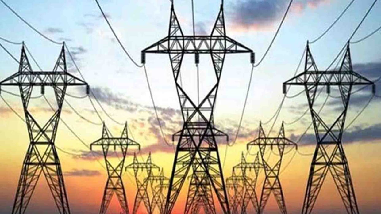 Kanpur: Rats cut electricity for eight and a half hours