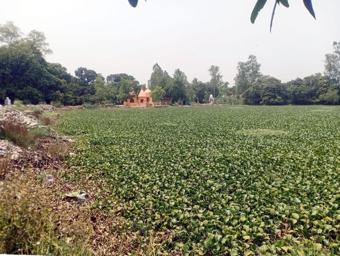 Sea fish 'soaked' the purity of Kanwa Tal
