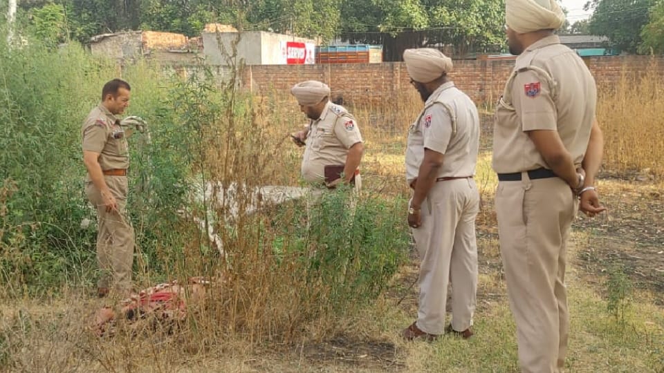 Man murdered in kapurthala