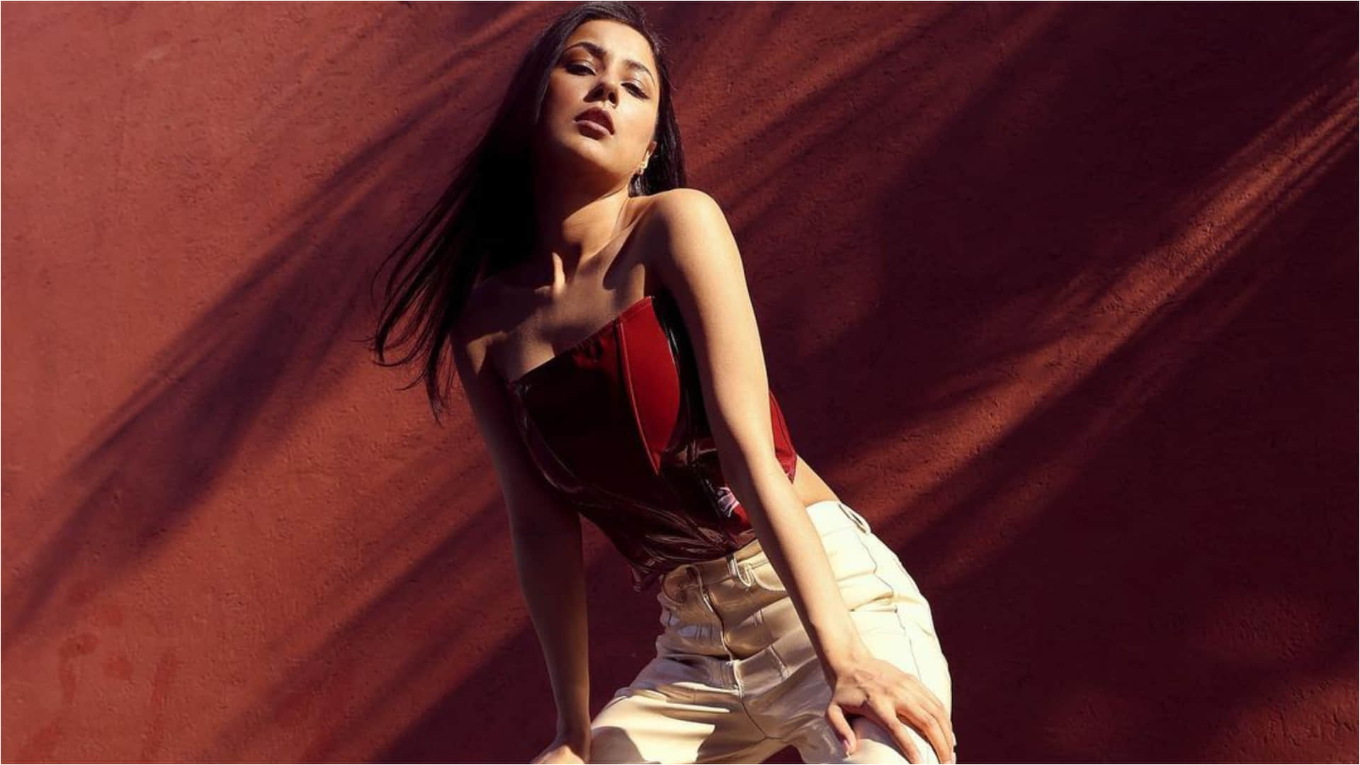 shehnaaz gill fancy photoshoot in leather corset top wih pants