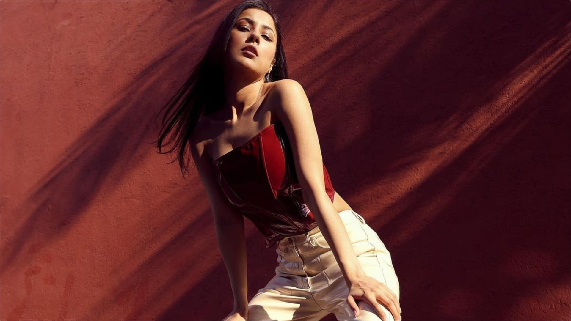 shehnaaz gill fancy photoshoot in leather corset top wih pants