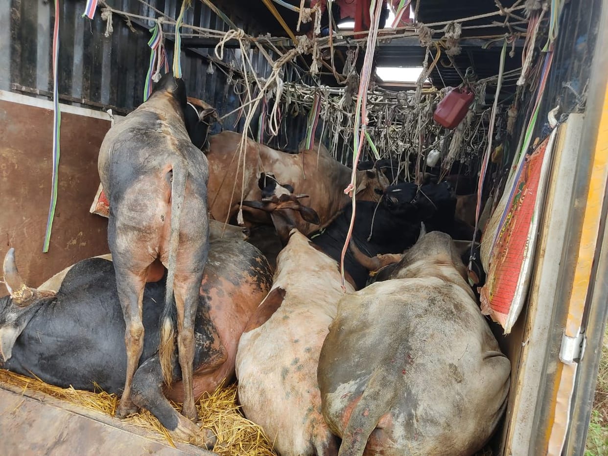 Animal smugglers ran away after carrying a container on the divider on police siege