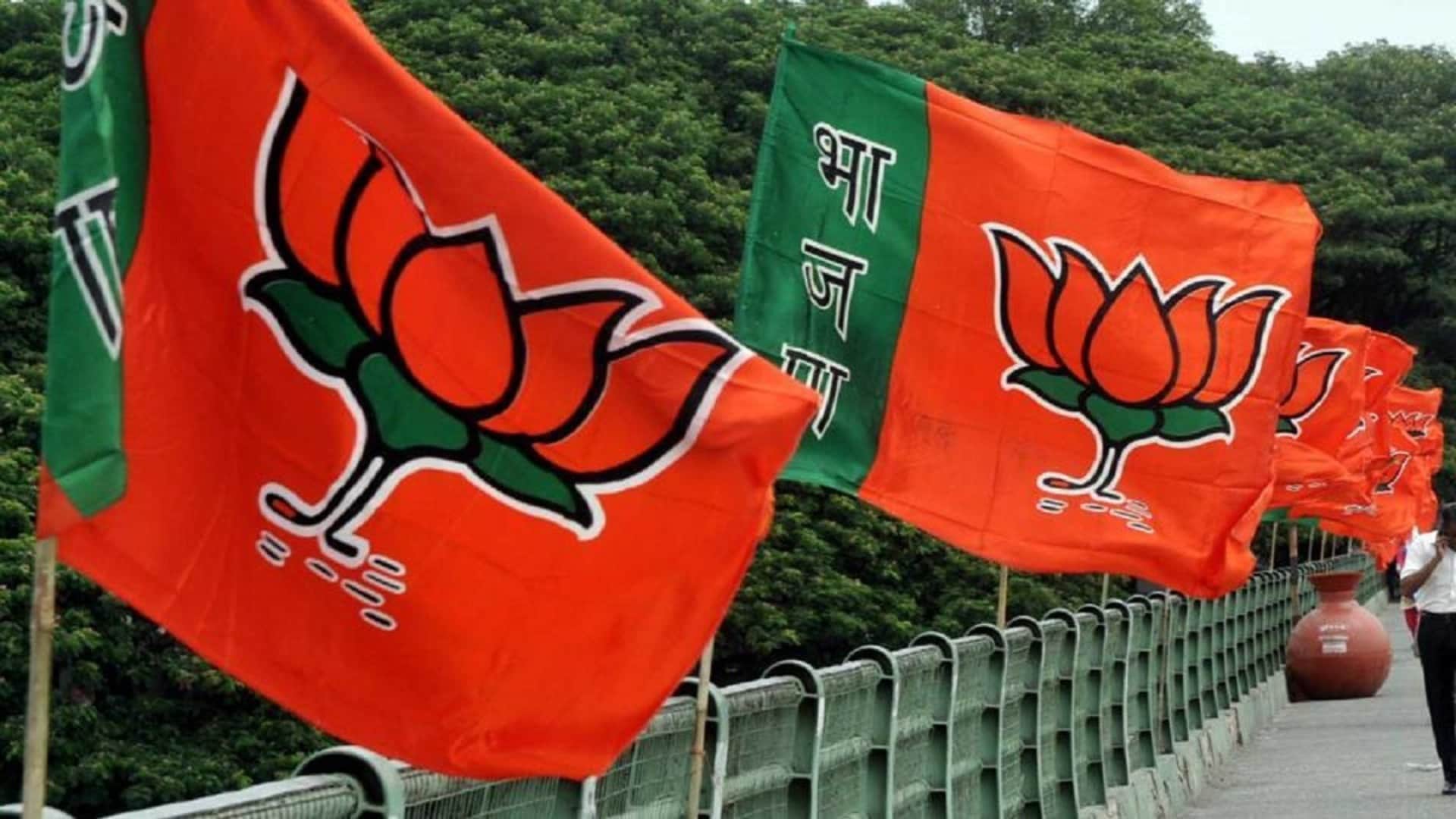 Haryana Local Body Elections Results what it means for BJP JJP Congress and Aam Aadmi Party explained news in hindi