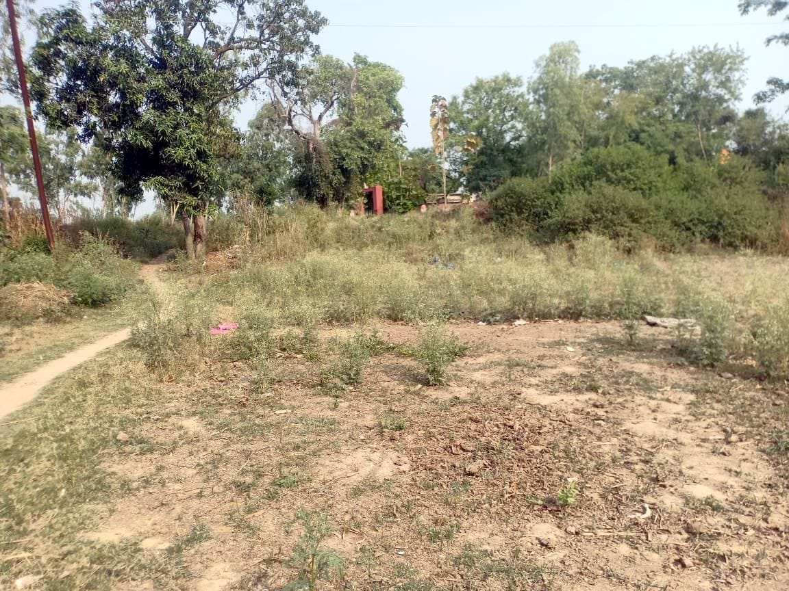 Amar Ujala Abhiyan - Where water used to live throughout the year, now grass has grown there