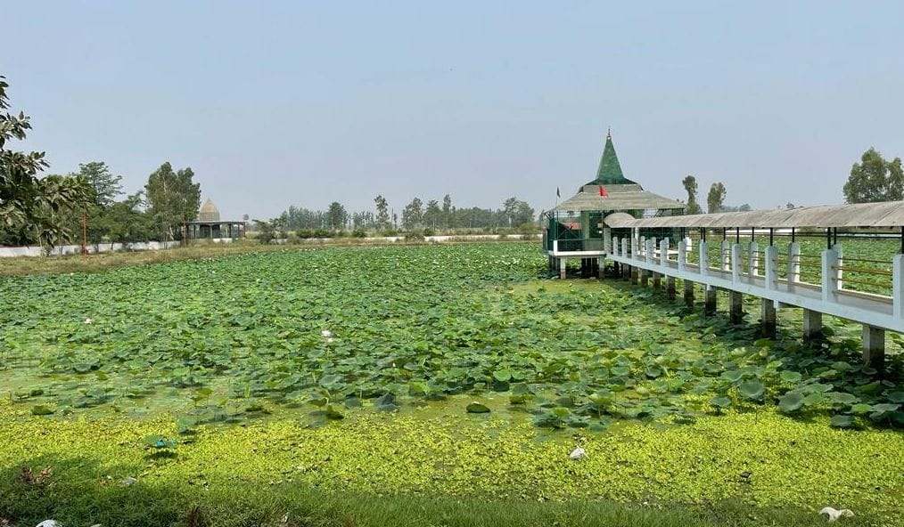Amar Ujala Campaign: So much mud filled in Mitrasen's johri, lotus blossomed