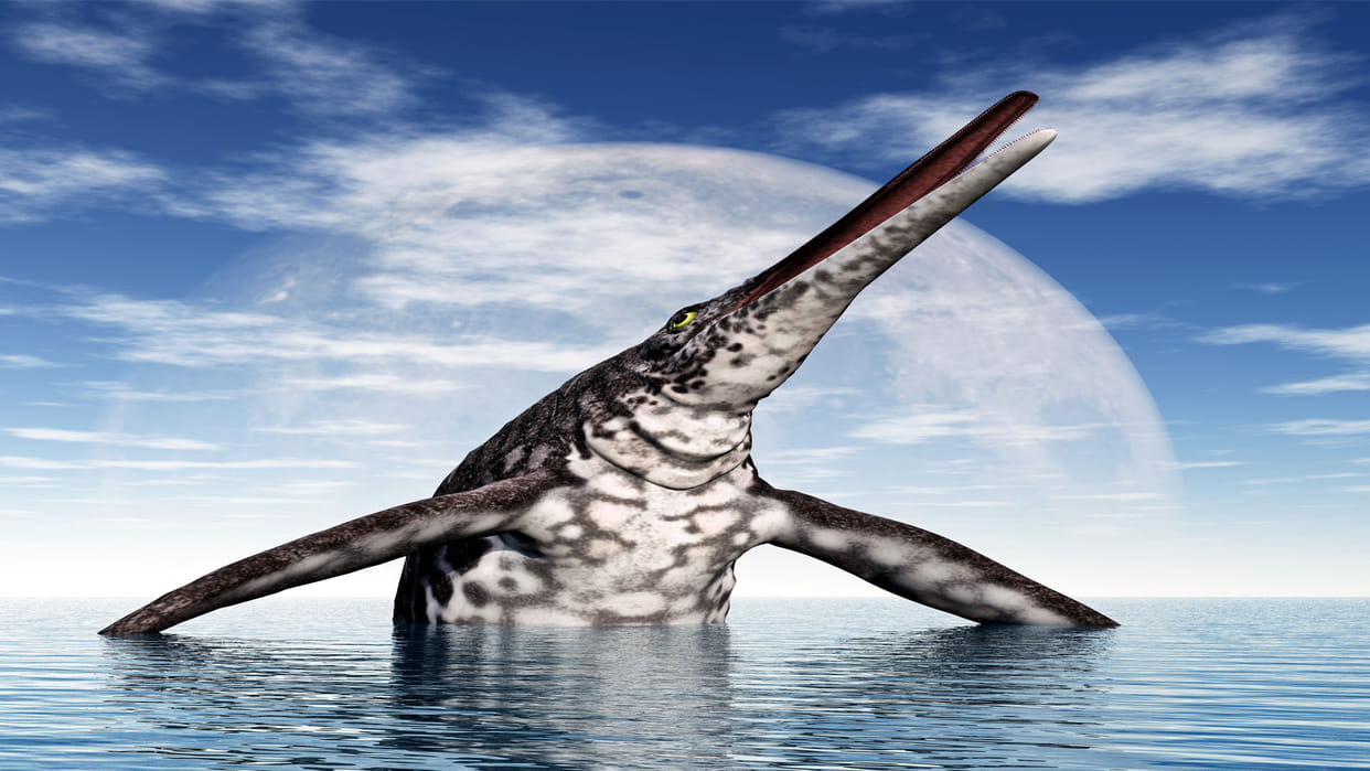 Children found in the stomach of 130 million year old sea monster everyone surprised to see fossils of dinosaur era